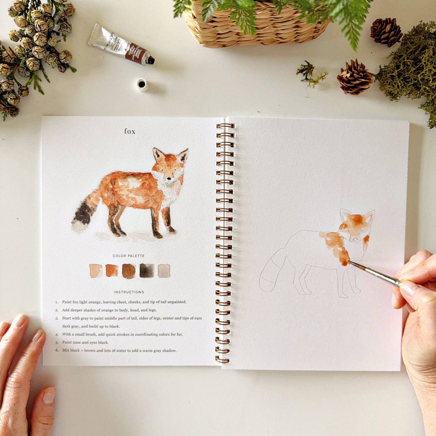 Emily Lex - Woodland watercolor workbook