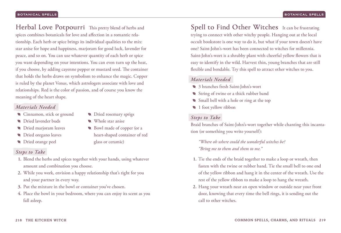 Kitchen Witch by Skye Alexander: Hardcover; 288 pages / English