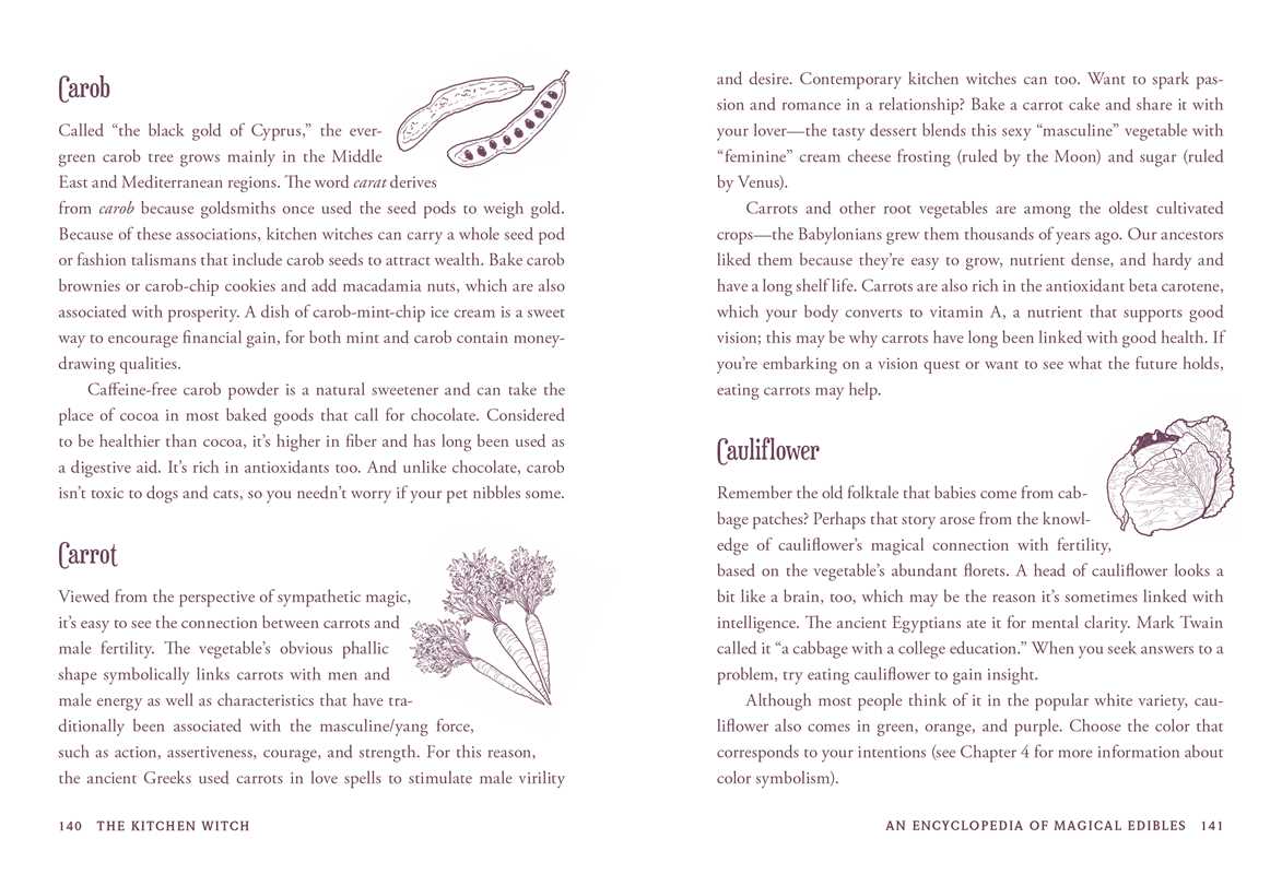 Kitchen Witch by Skye Alexander: Hardcover; 288 pages / English