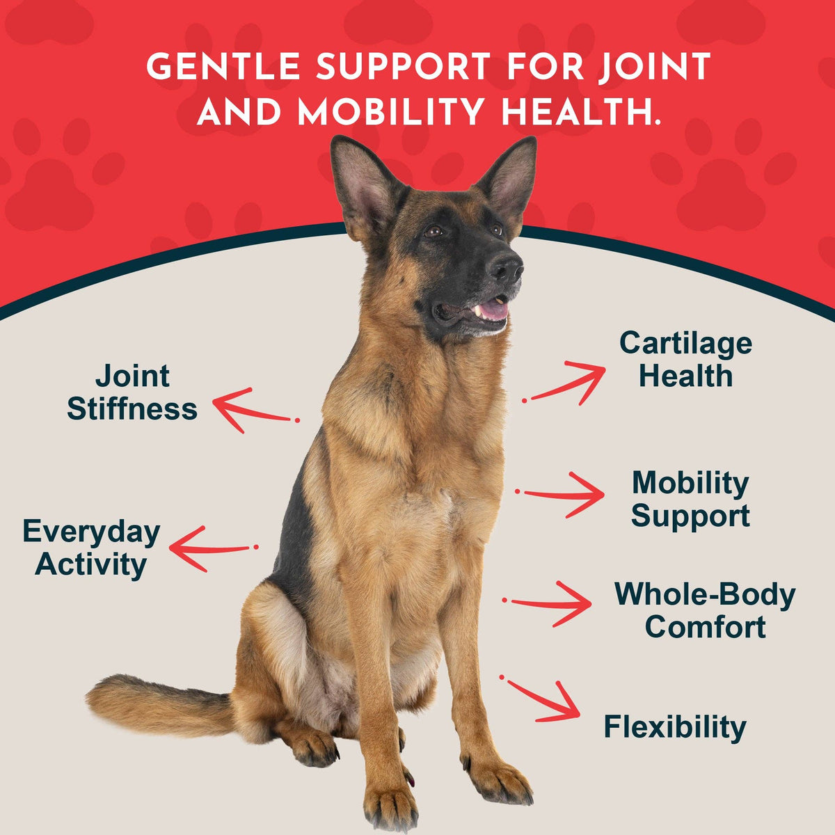 Joint Support Herbal Tonic Blend | Helps Stiffness and Soreness: 1oz