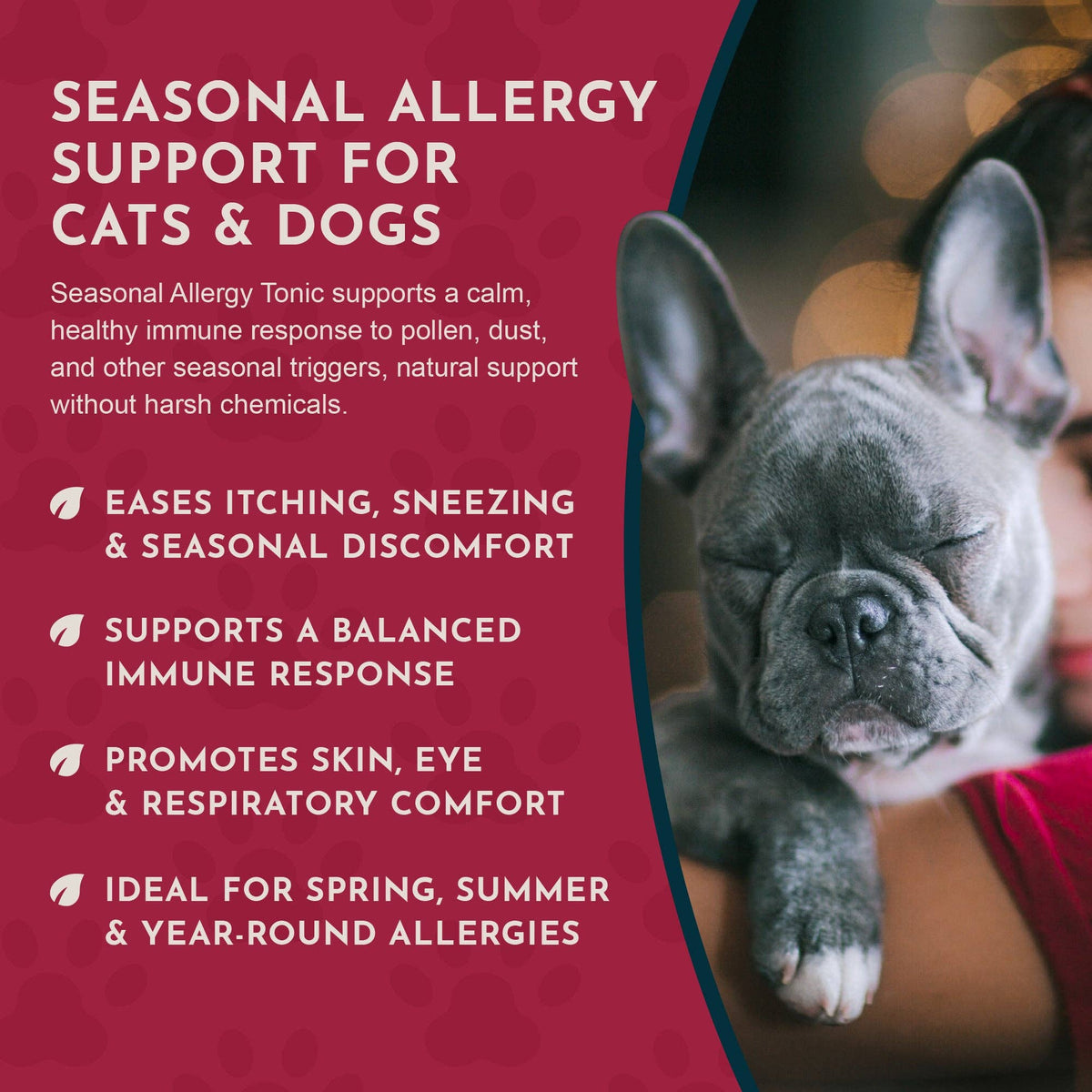 Seasonal Allergy Herbal Tonic | Maintains Normal Histamine Levels: 1oz