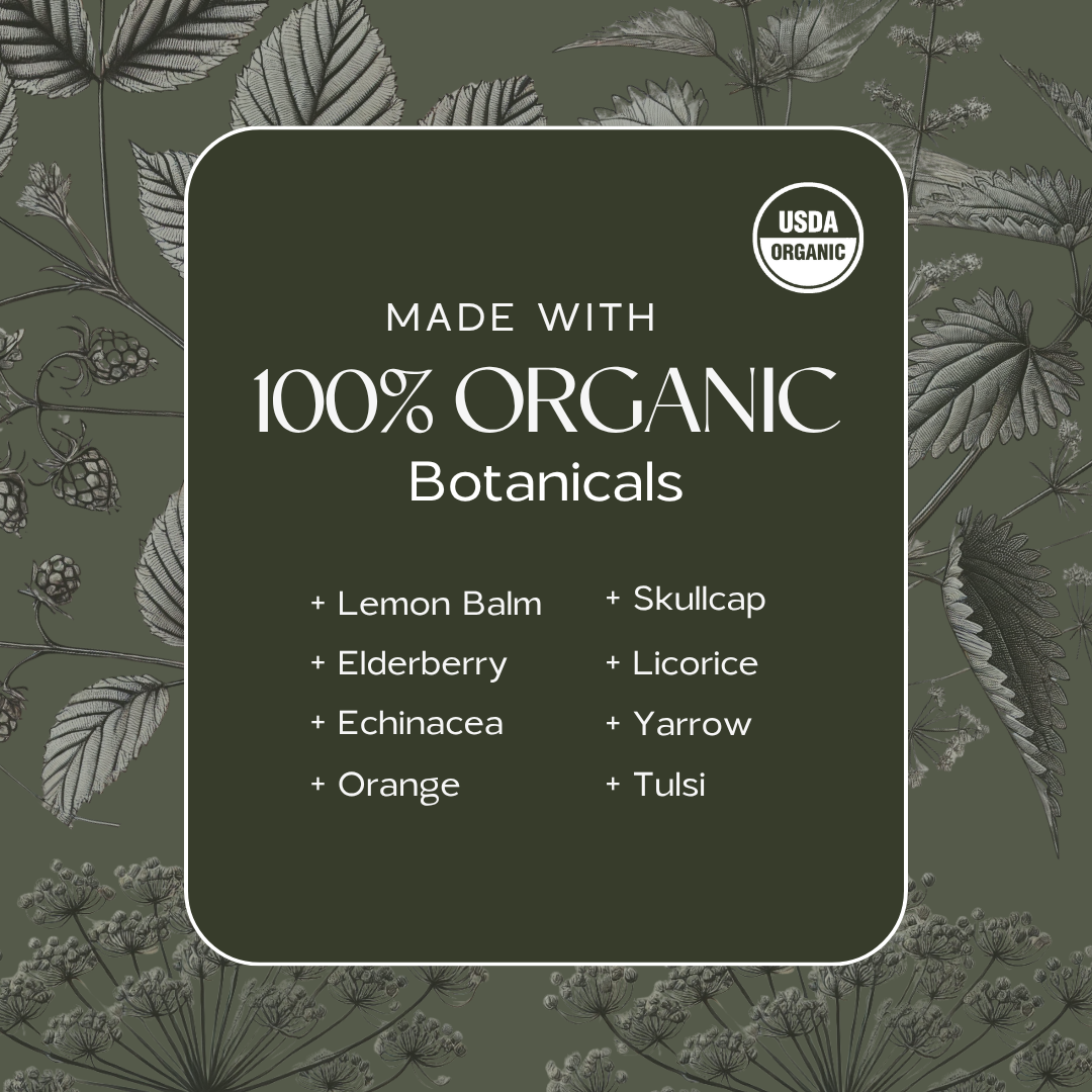 Wild Woman Herbal Apothecary - Citrus Berry Immunity Tea | Elderberry Echinacea & Vitamin C