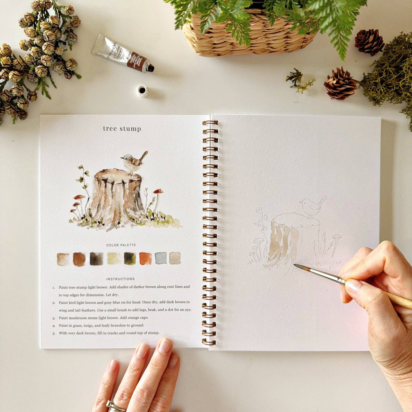 Emily Lex - Woodland watercolor workbook