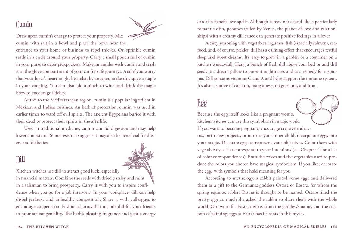 Kitchen Witch by Skye Alexander: Hardcover; 288 pages / English