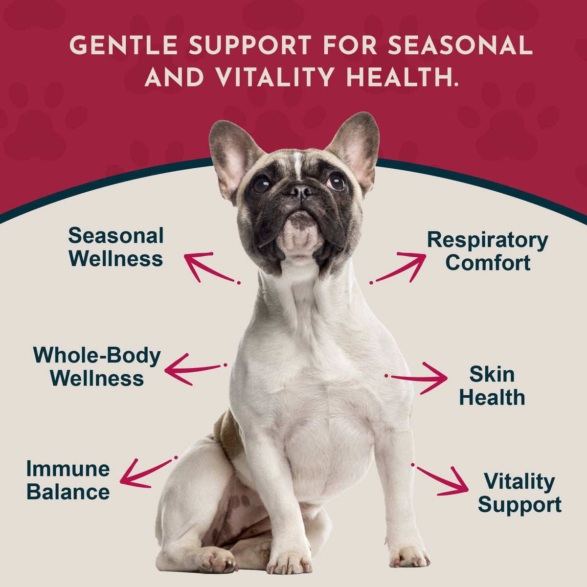 Nettle Herbal Tonic | Allergy Support: 1oz