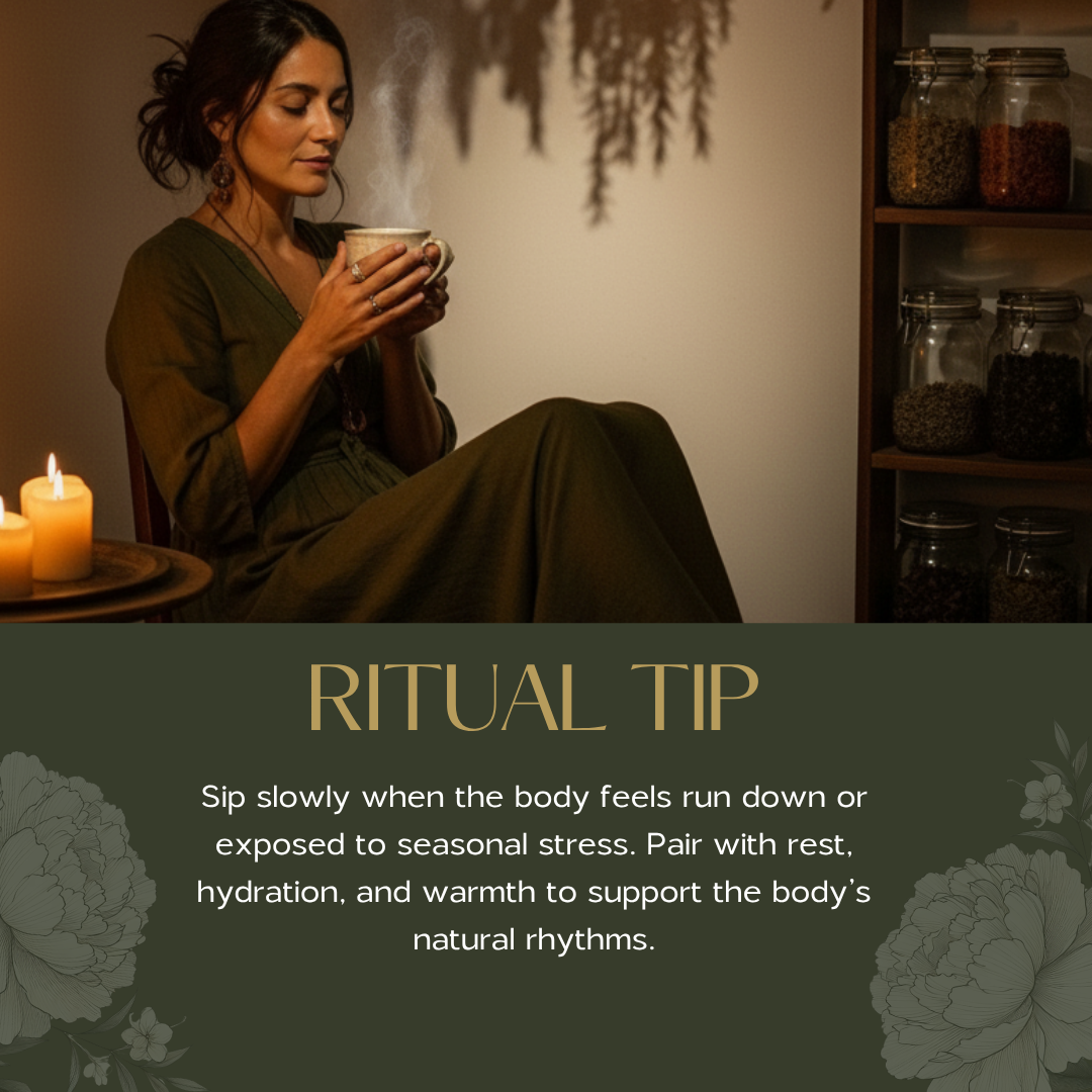 Wild Woman Herbal Apothecary - Citrus Berry Immunity Tea | Elderberry Echinacea & Vitamin C