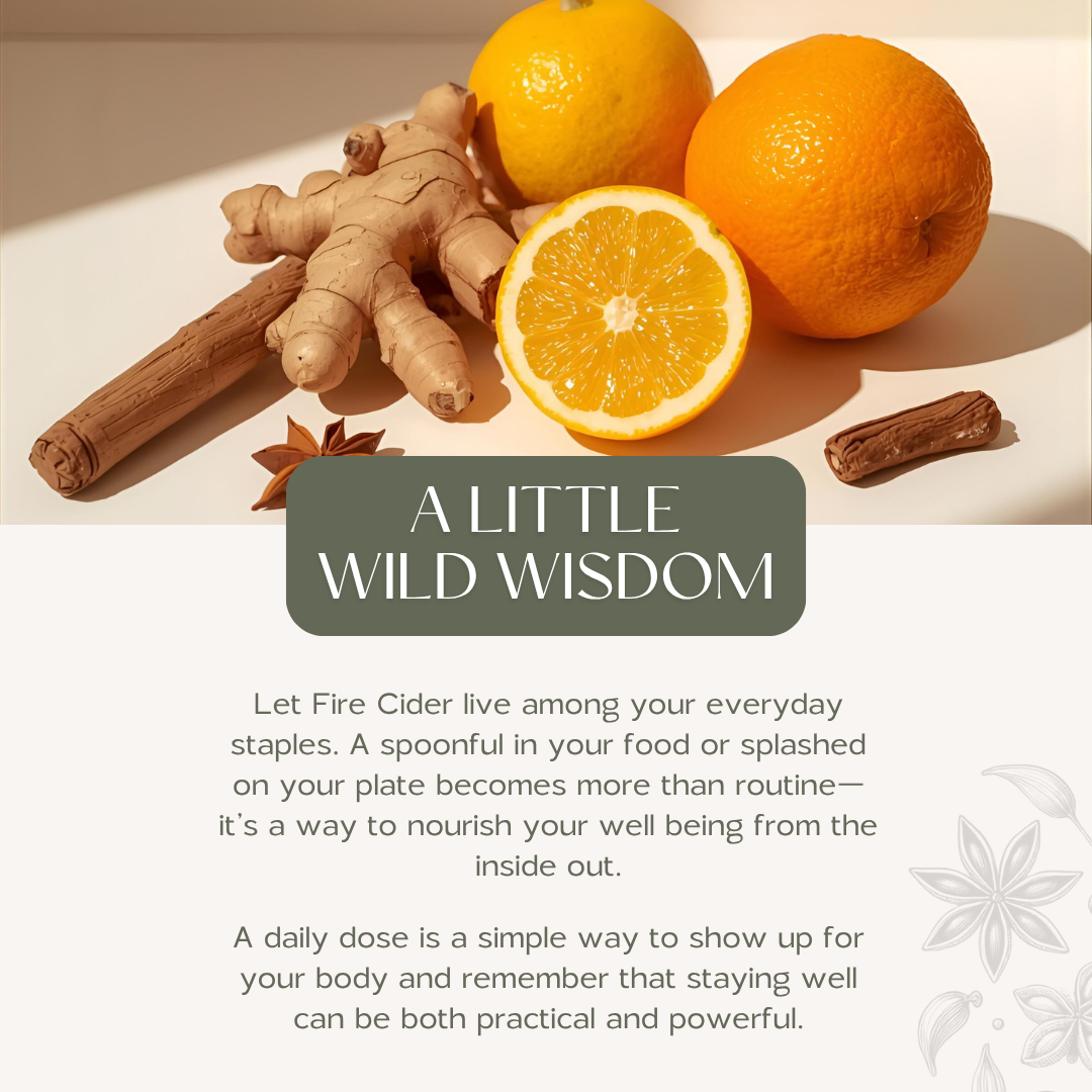Wild Woman Herbal Apothecary - Fire Cider | Immunity, Digestion, Circulation | Cold & Flu