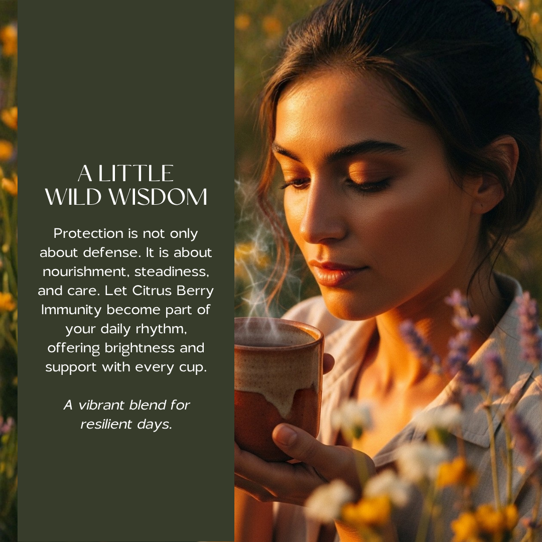 Wild Woman Herbal Apothecary - Citrus Berry Immunity Tea | Elderberry Echinacea & Vitamin C