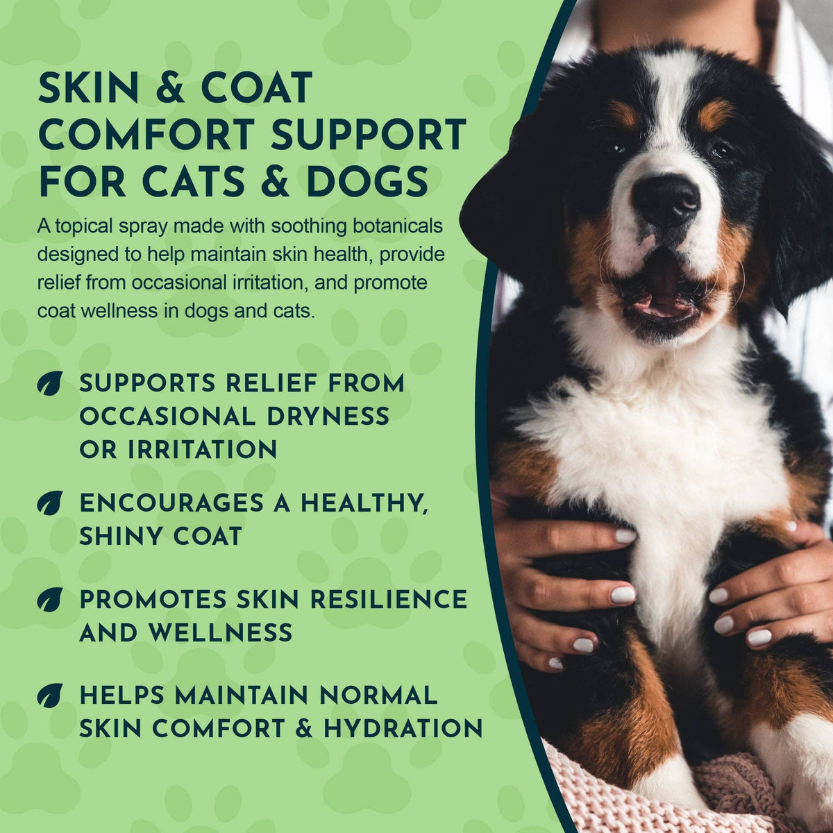 FidoDerm Skin Spray | Soothes & Speeds Healing Fast